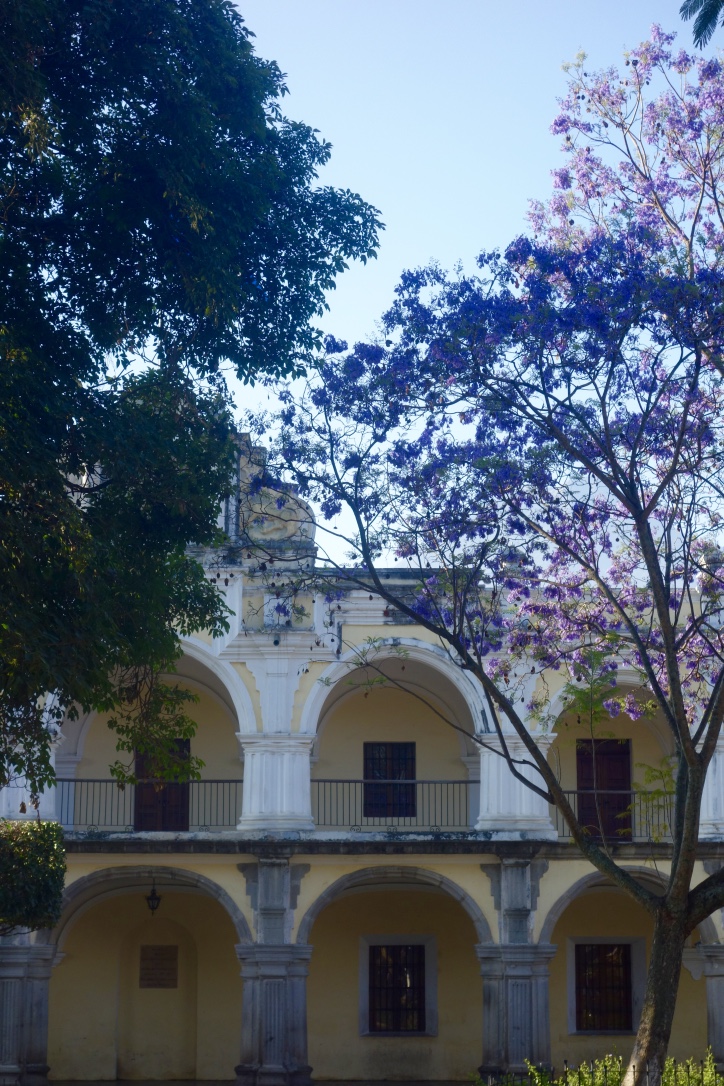 Voyager au Guatemala : Antigua